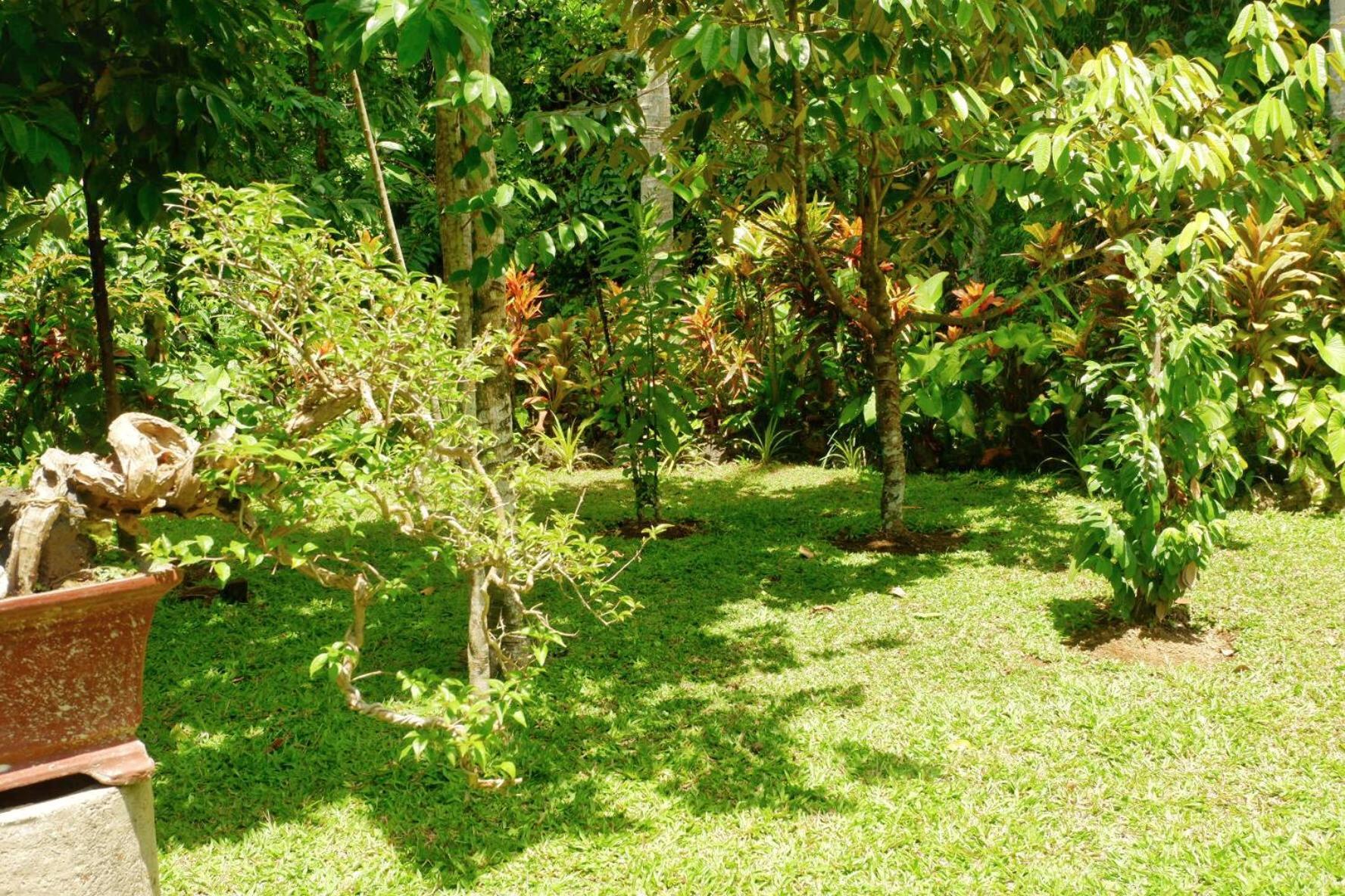 Artja Inn Ubud מראה חיצוני תמונה